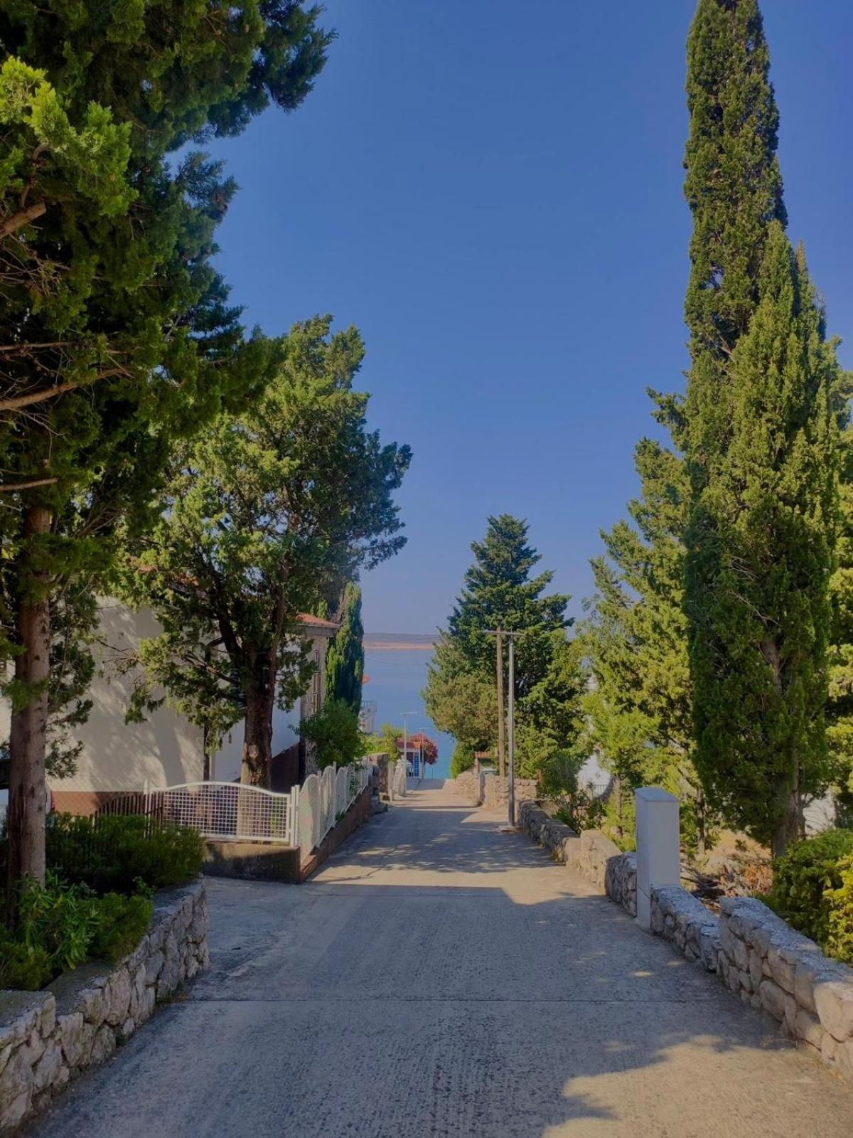 Modern Seaview House Fiore Starigrad Paklenica Exterior foto